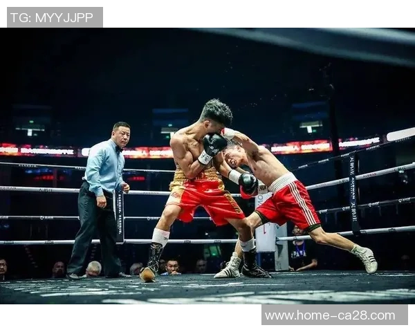 考菲尔泰克斯与播求的巅峰对决谁能称霸格斗界的传奇之战